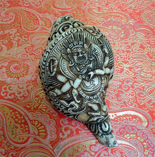 Шанка, тибетская морская раковина горн "Махакала"