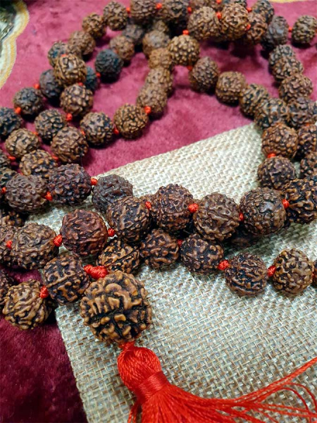 Четки из рудракши 6 ликов  108 бусин, д=11мм, с узелками (красная нить)