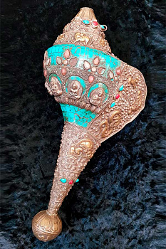 Буддийская морская раковина горн (Тибетская Шанка)